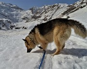 A CA' SAN MARCO (1830 m) dal Ristorante Genzianella (1300 m) pestando neve il 24 febbraio 2021 - FOTOGALLERY"